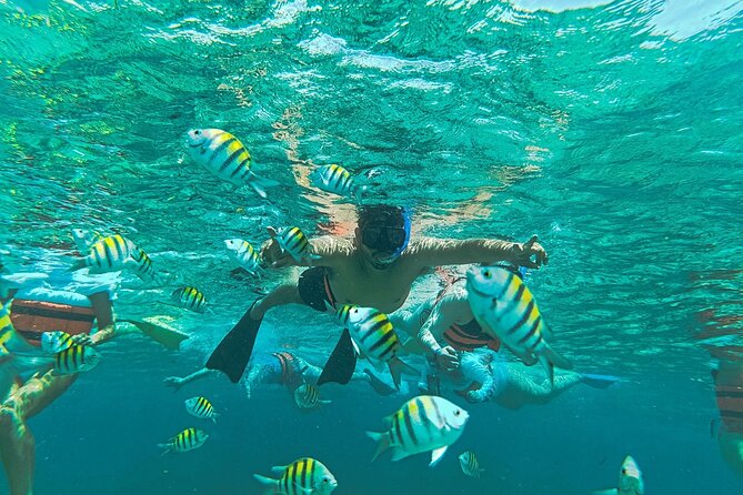 Deluxe Catamaran Tour to Isla Mujeres, from Playa del Carmen - Practical Details on Pricing and Additional Fees