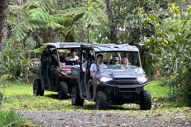 Deluxe Coffee Culture Tour from Berry to Brew in 60 Minutes - An Engaging 60-Minute Coffee Tour on the Big Island of Hawaii