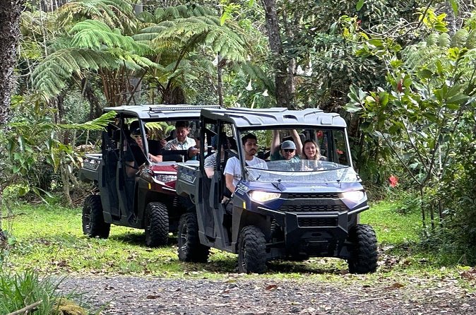 Deluxe Coffee Culture Tour from Berry to Brew in 60 Minutes - Discovering Coffee from Berry to Brew