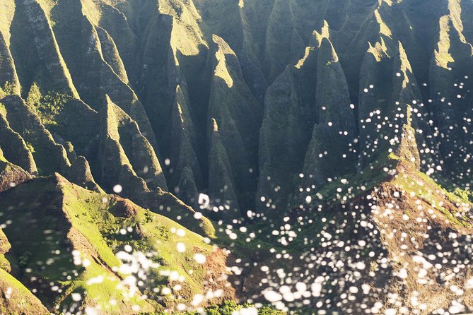 Deluxe Na Pali Sunset Tour on the Lucky Lady - Wildlife Encounters and Marine Sightings