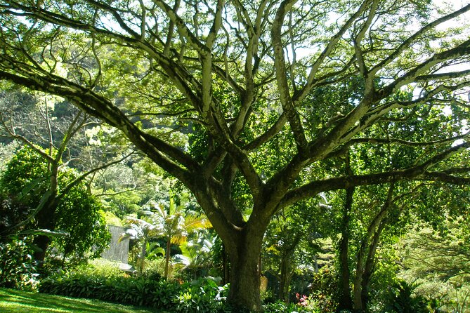 Deluxe North Shore Adventure from Ko Olina - Practical Details and Included Amenities