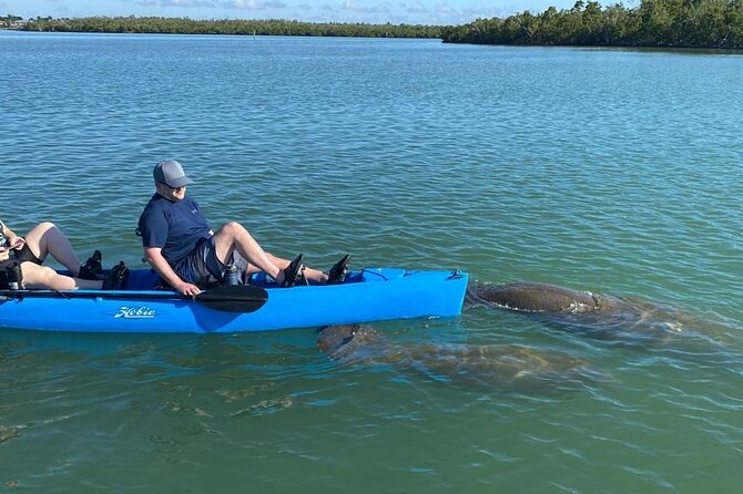 Deluxe Pedal Kayak Tour Marco Island and Naples, Florida - The Scenic Location of Marco Island Mangrove Tunnels