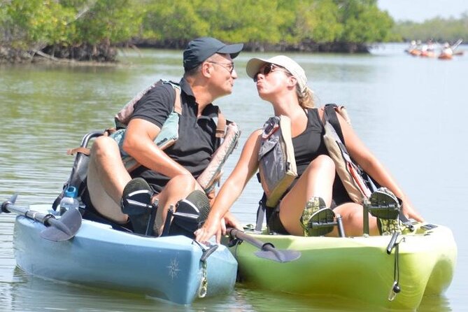 Deluxe Pedal Kayak Tour Marco Island and Naples, Florida - Wildlife Encounters and Ecosystem Insights
