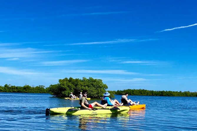 Deluxe Pedal Kayak Tour Marco Island and Naples, Florida - The Experience of Paddling Through the Mangrove Ecosystem