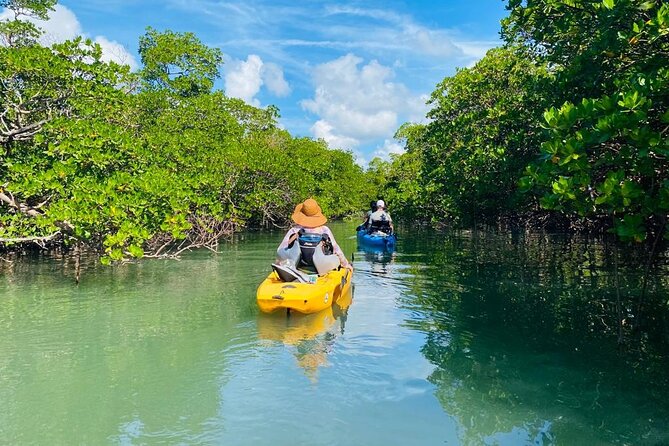 Deluxe Pedal Kayak Tour Marco Island and Naples, Florida - Opportunities for Wildlife and Photo Enthusiasts