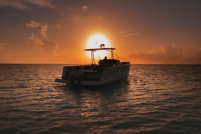 Deluxe Private Boats - 36 ft Fjord - Exclusive Waterway Inspection of Local Nature Reserves