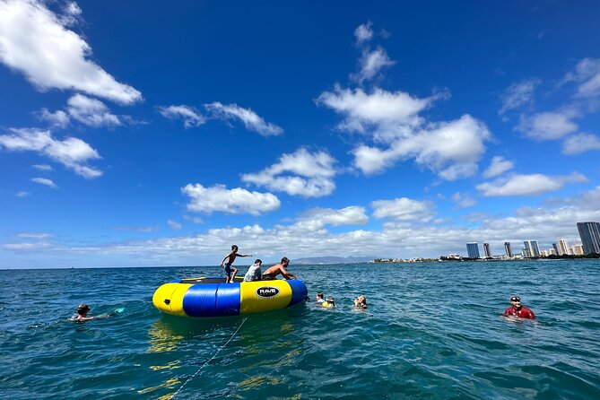Deluxe Snorkel and Wildlife Cruise in Waikiki - Marine Wildlife Encounters and Special Sightings