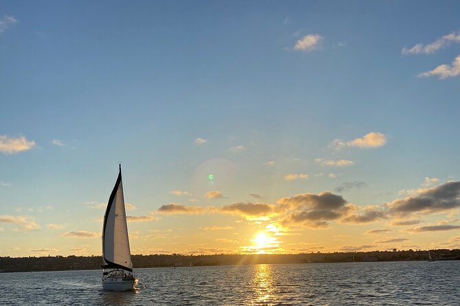 Deluxe Sunset & Day Sail Small Group - Sunset Views and Wildlife Encounters