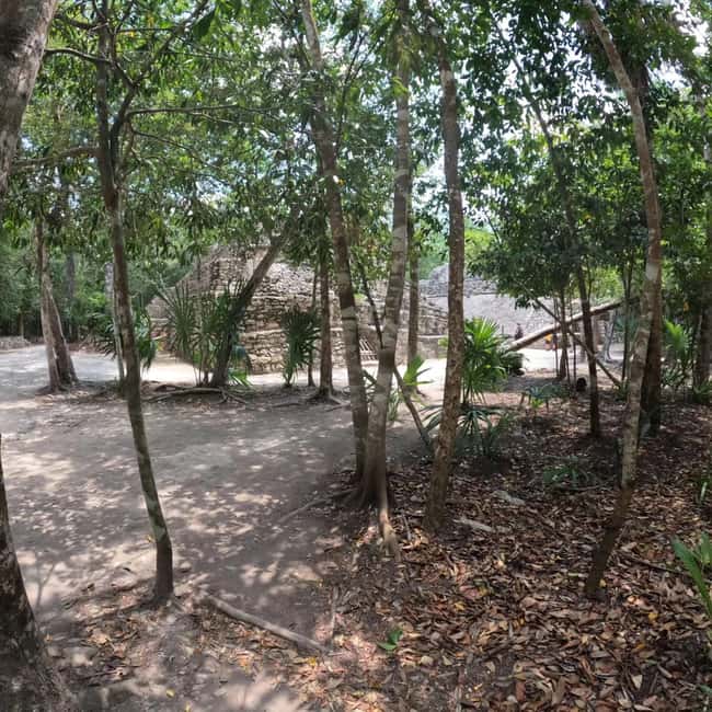 Deluxe Tulum, Coba & 5th Avenue from Cancun - Key Points