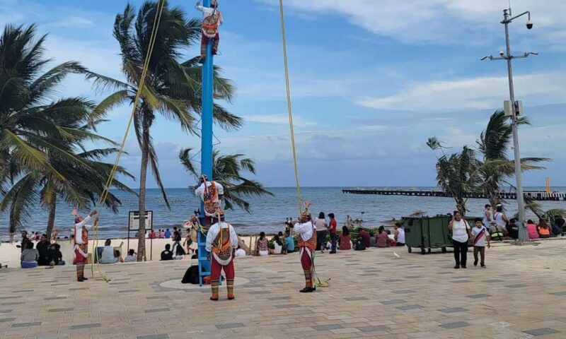 Deluxe Tulum, Coba & 5th Avenue from Cancun - Practical Group Transportation and Pacing