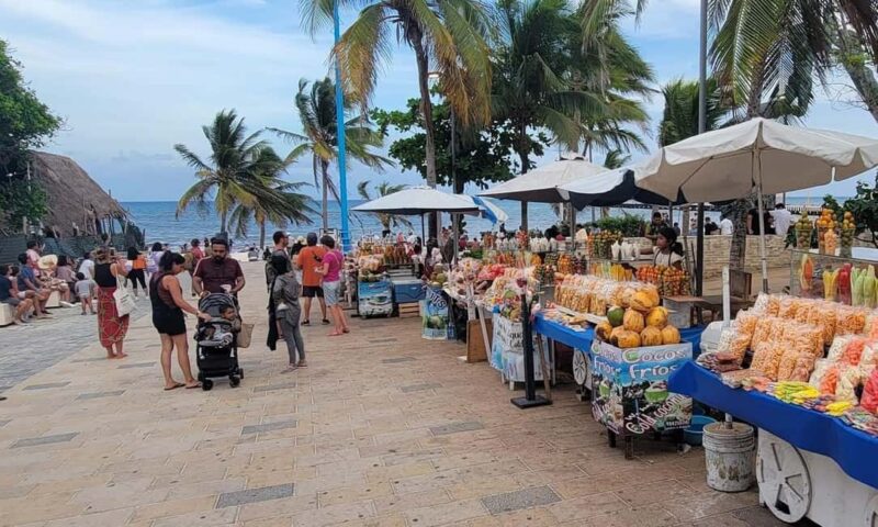 Deluxe Tulum, Coba & 5th Avenue from Cancun - Who Should Consider This Tour