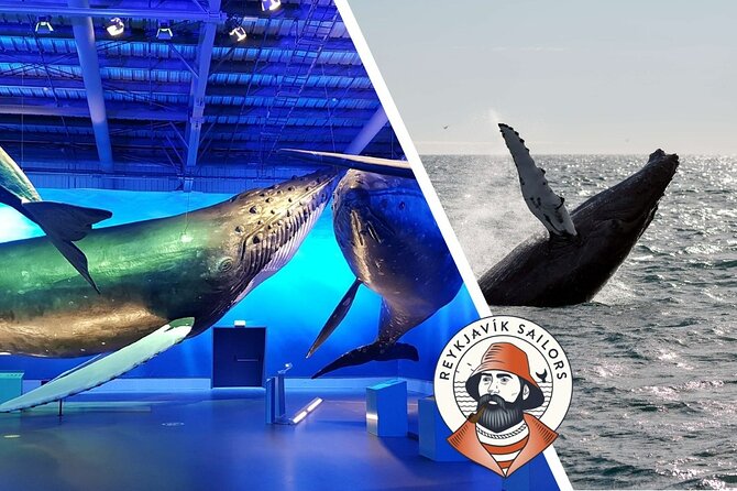 Deluxe Whale Watching and Whales of Iceland Exhibition Combo from Reykjavik - The Educational Importance of the Whales of Iceland Exhibition