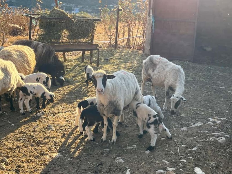 Delvina4x4 : From Cold War Tunnels to Ottoman Minarets - Historical Significance and Unique Aspects of the Tour