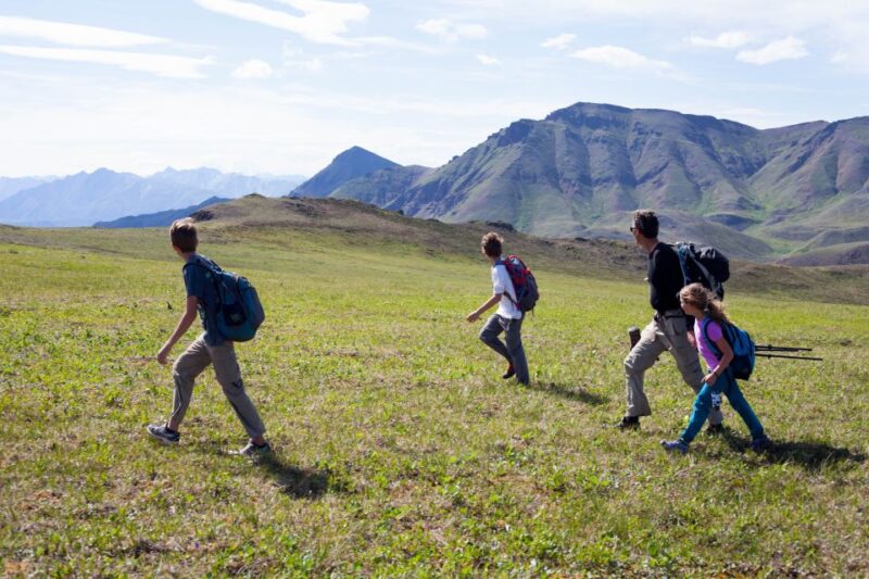 Denali: 5-Hour Guided Wilderness Hiking Tour - Who Should Consider This Tour