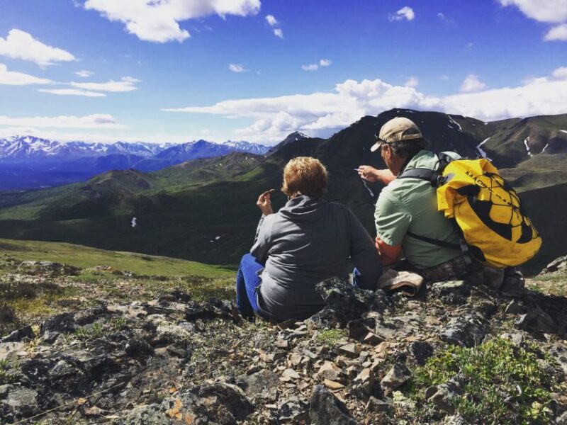 Denali: 5-Hour Guided Wilderness Hiking Tour - The Sum Up: An Adventurous Day in Denalis Wilderness