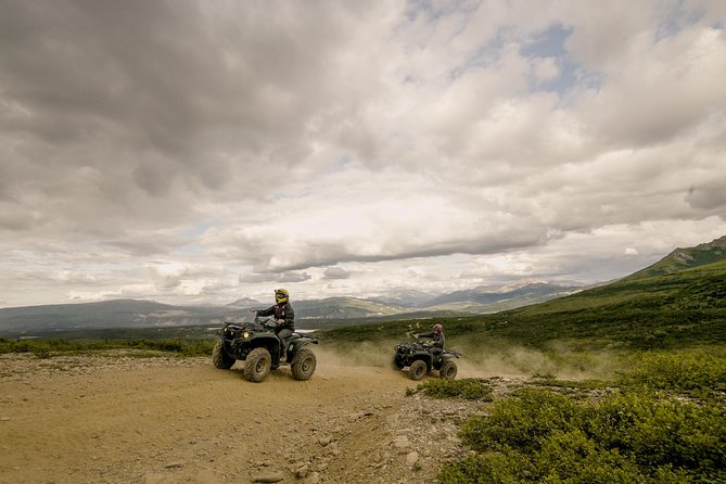 Denali ATV Trailblazer 3.5 Hour Tour - What the Trail Looks Like: A Mix of Forests, Riverbeds, and Overlooks