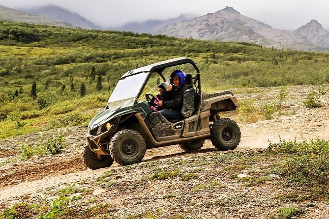 Denali ATV Trailblazer 3.5 Hour Tour - Highlights of Scenery and Wildlife Sightings