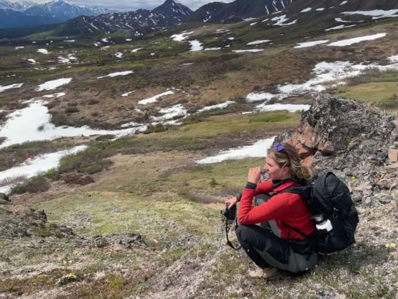 Denali: Denali National Park Walking Tour - Expert-Guided Walk with Nature and Wildlife Focus