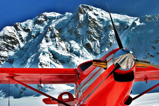 Denali Experience Flightseeing Tour from Talkeetna - Reviews and Guest Satisfaction