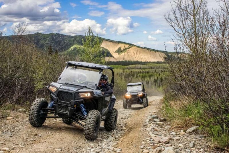 Denali: Explore the Backcountry with an ATV Ride - Denalis Backcountry ATV Rental: An Independent Wilderness Experience