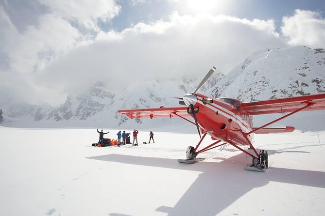 Denali Flyer Flightseeing Tour from Talkeetna - Key Points