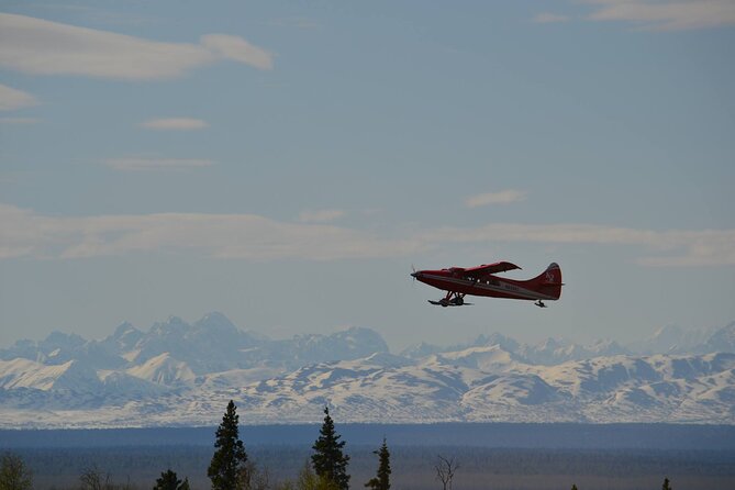 Denali Grand Flightseeing Tour from Talkeetna - The Optional Glacier Landing Experience