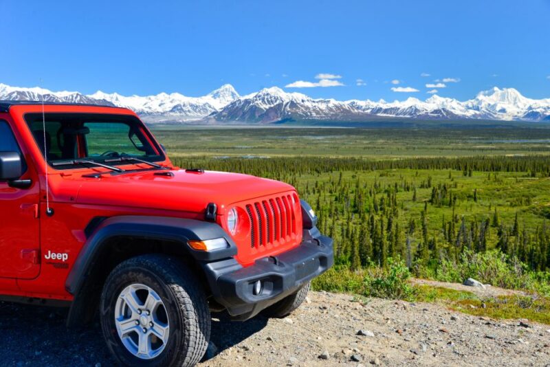 Denali Highway Jeep Excursion - Wildlife Viewing Opportunities Along the Route