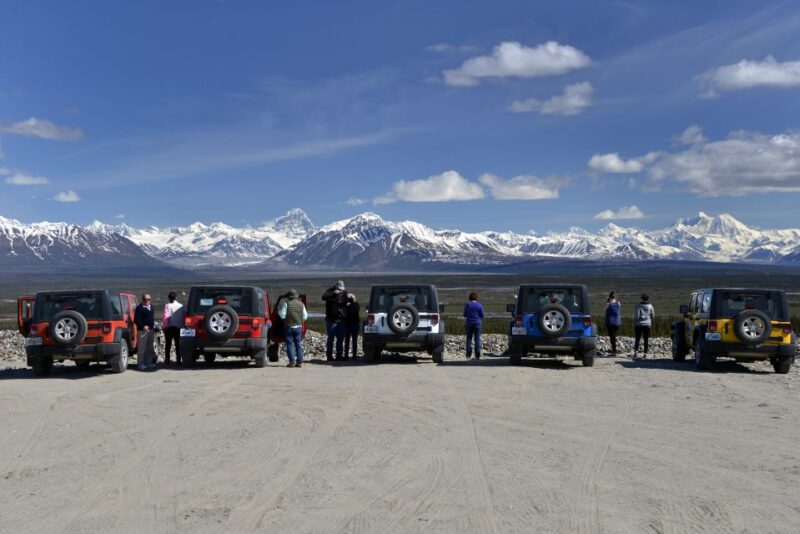 Denali Highway Jeep Excursion - Who Should Consider This Tour?