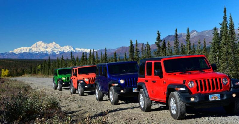 Denali Highway Jeep Excursion - What Review Highlights Reveal About the Tour