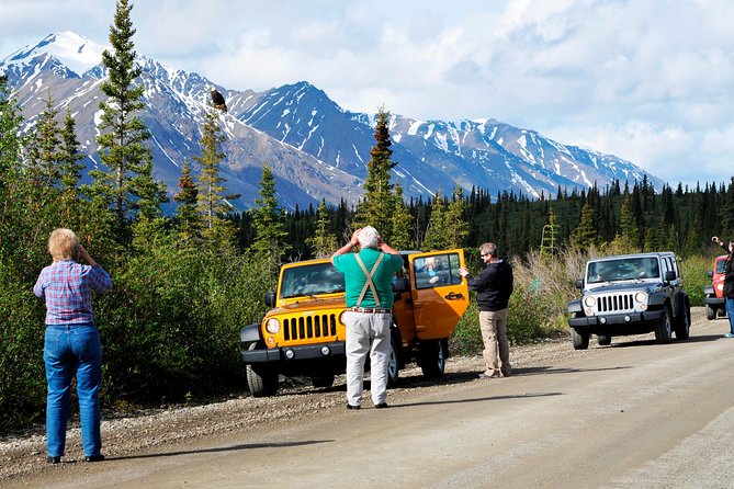 Denali Highway Jeep Excursion - Snacks, Beverages, and Comfort During the Tour