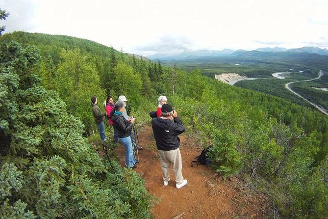 Denali Hiking Tour - Discover Denalis Wilderness with a Guided Hike for Fit Adventurers