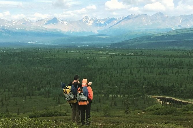 Denali Hiking Tour - Key Points
