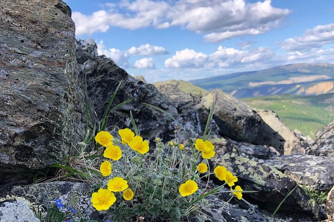 Denali Hiking Tour - Frequently Asked Questions