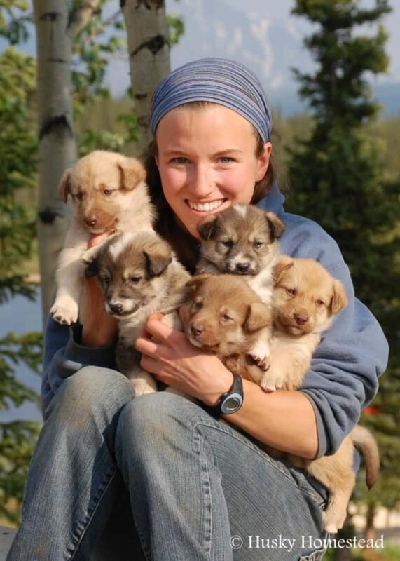 Denali: Husky Homestead Tour - Meeting Point and Accessibility Details