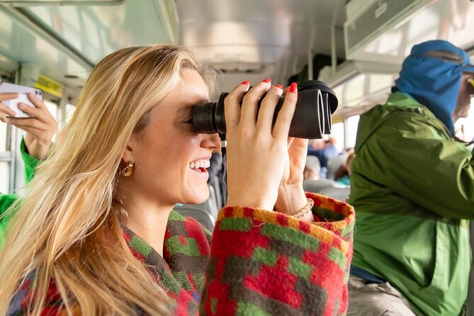 Denali in a Day Sightseeing Package - Discover Denali in a Day with this Sightseeing Package