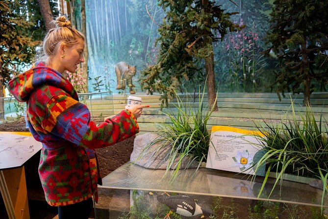 Denali in a Day Sightseeing Package - Starting from the Iconic Denali Sign for Photos