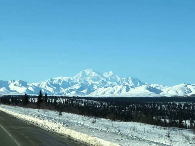 Denali National Park: Full-Day Fairbanks-Denali Adventure - Who Will Enjoy This Tour Most