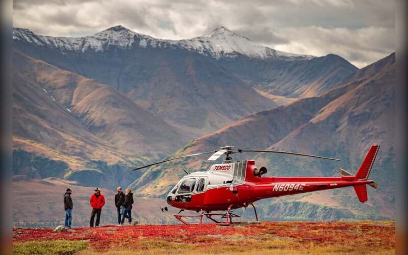 Denali National Park: Helicopter and Hike Adventure - Key Points