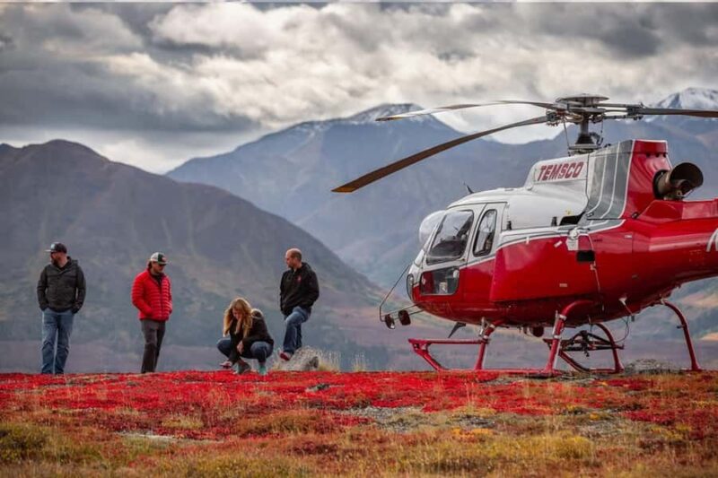 Denali National Park: Helicopter Ride over the Alaska Range - Explore the Alaska Range from Above with a 110-Minute Helicopter Tour