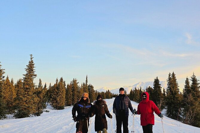 Denali National Park plus Aurora Chase Tour - Wildlife Viewing and Scenic Stops Along the Park Road
