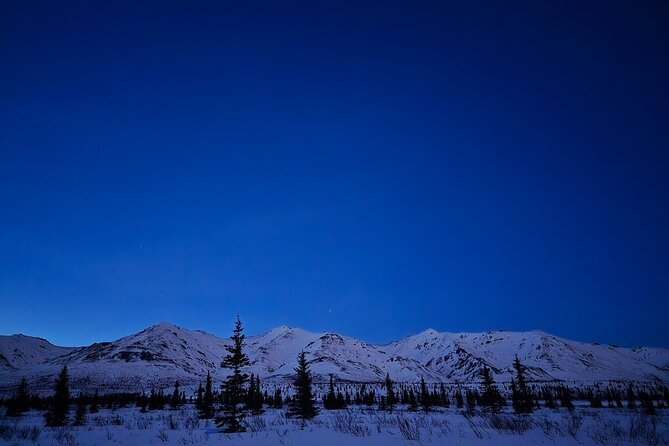 Denali National Park plus Aurora Chase Tour - Aurora Chase: A Nighttime Spectacle in Remote Alaska