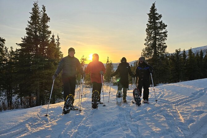 Denali National Park plus Aurora Chase Tour - Practical Details: Logistics, Group Size, and Accessibility