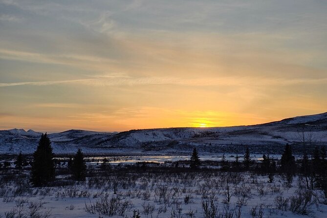 Denali National Park plus Aurora Chase Tour - What Sets This Tour Apart from Others