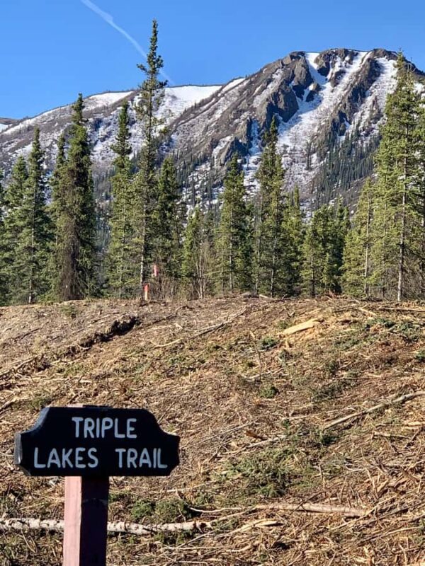 Denali National Park: Triple Lakes Trail Guided Hike - Experience a Scenic Guided Hike at Denalis Triple Lakes Trail