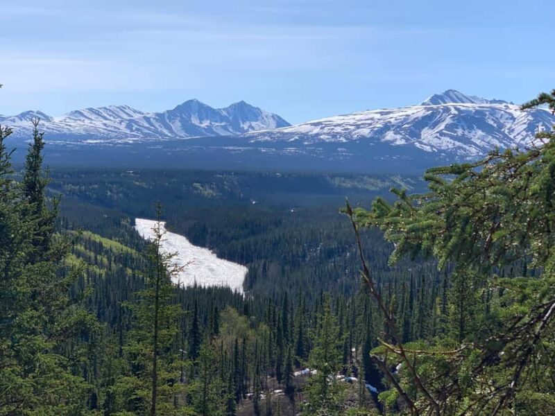 Denali National Park: Triple Lakes Trail Guided Hike - Exploring the Scenic Trails of Denalis Wilderness
