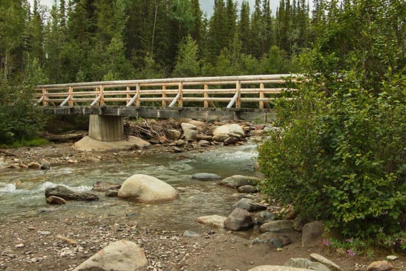 Denali National Park: Triple Lakes Trail Guided Hike - The Unique Appeal of the Triple Lakes