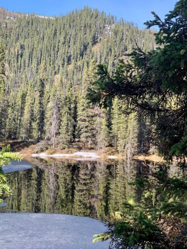 Denali National Park: Triple Lakes Trail Guided Hike - Who Would Most Enjoy This Guided Hike