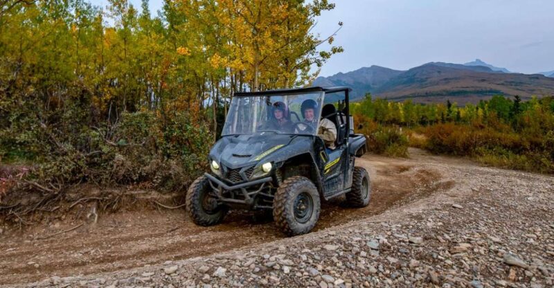 Denali National Park: Wilderness ATV Adventure - Denali Wilderness ATV Tour Starting Point in Healy