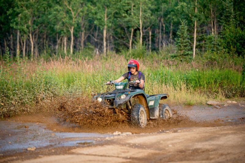 Denali National Park: Wilderness ATV Adventure - Practicalities: Booking, Cancellation, and Accessibility