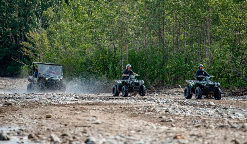Denali National Park: Wilderness ATV Adventure - Guides and Customer Satisfaction